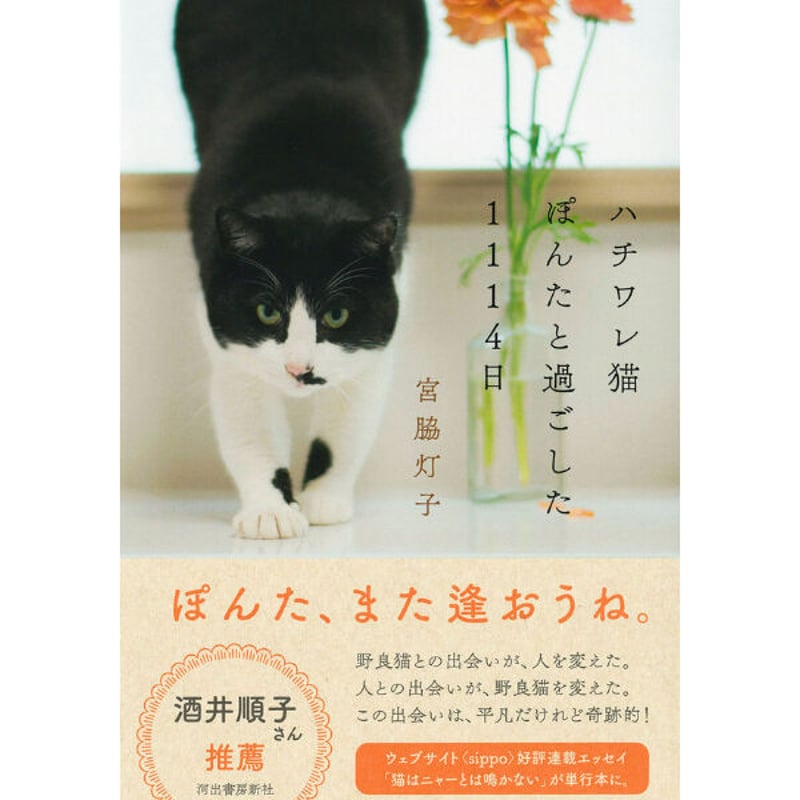オーダー受付中　ハチワレ猫＆フラワー生地 オーダー受付中 ハチワレ猫＆フラワー生地 楽天市場】ハチワレ 猫 生地
