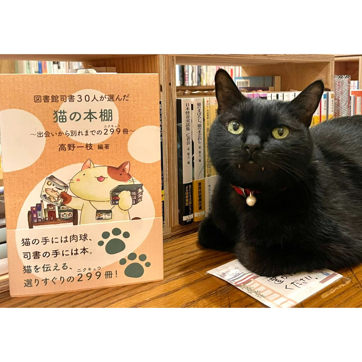 図書館司書30人が選んだ猫の本棚 | Cat's Meow Books Virtual Shop β