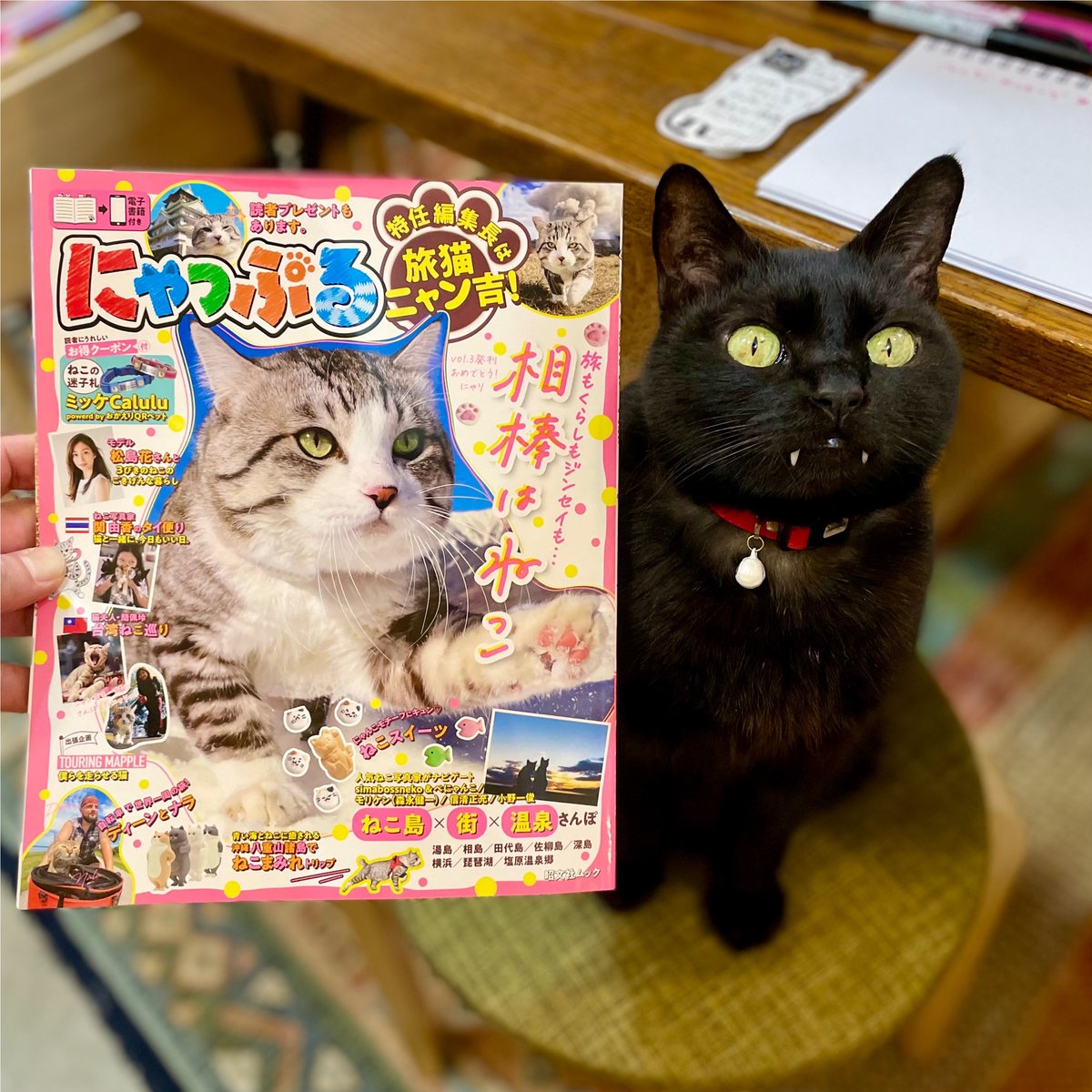 にゃっぷる 特任編集長は旅猫ニャン吉！ | Cat's Meow Books Virtual