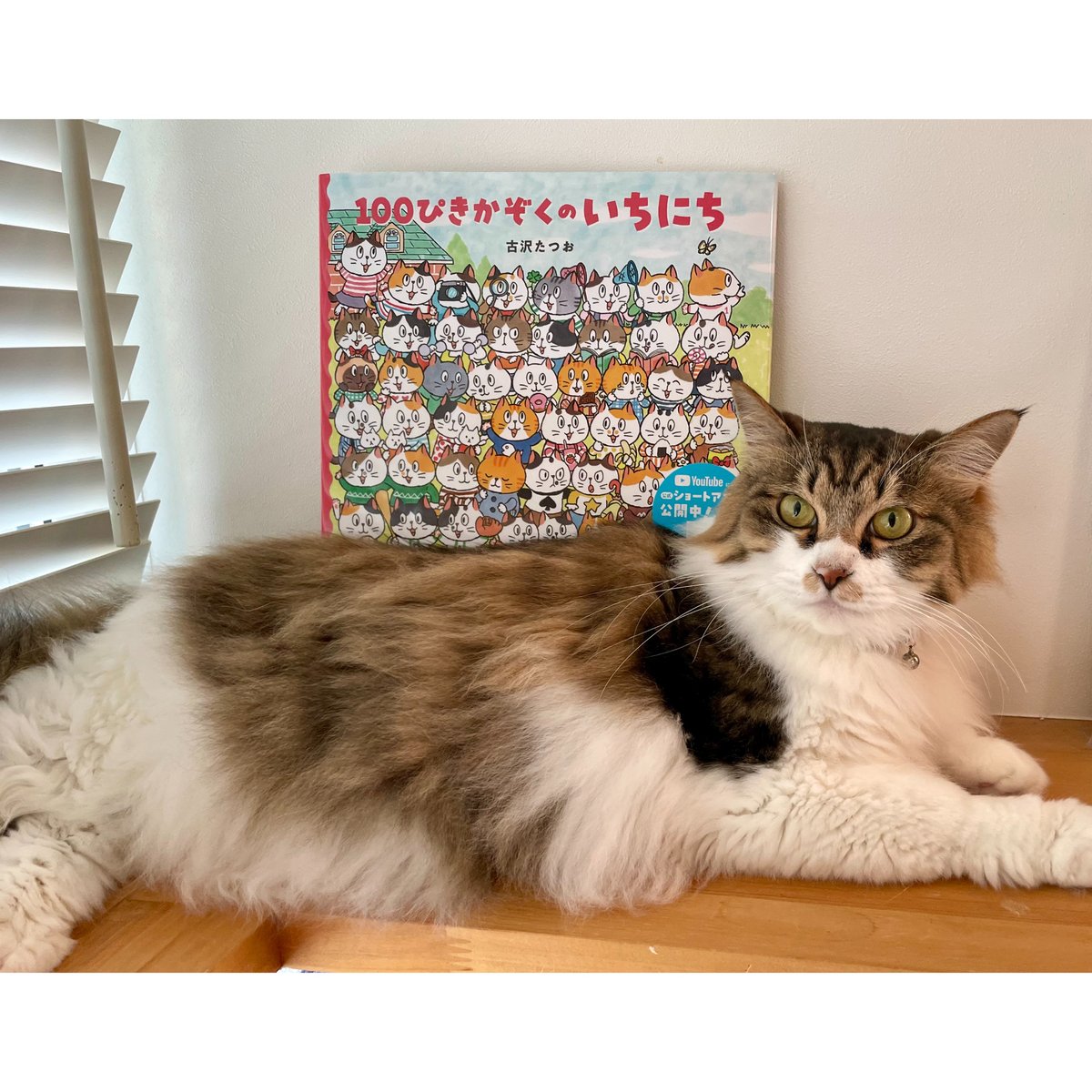100ぴきかぞくのいちにち | Cat's Meow Books Virtual Shop β