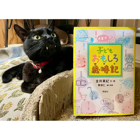 ぽこにゃん・呪みちる本２冊セット 呪いのゲーム ぷうけえ！」中ツル水雲 [児童書] - KADOKAWA