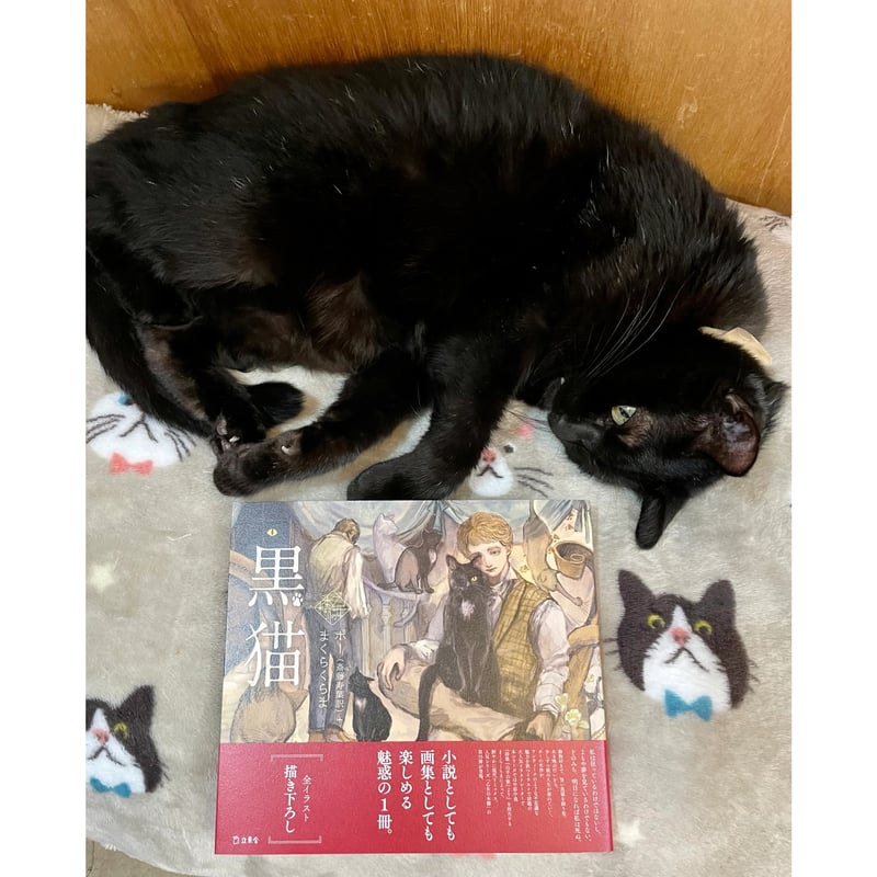 乙女の本棚 黒猫 | Cat's Meow Books Virtual Shop β