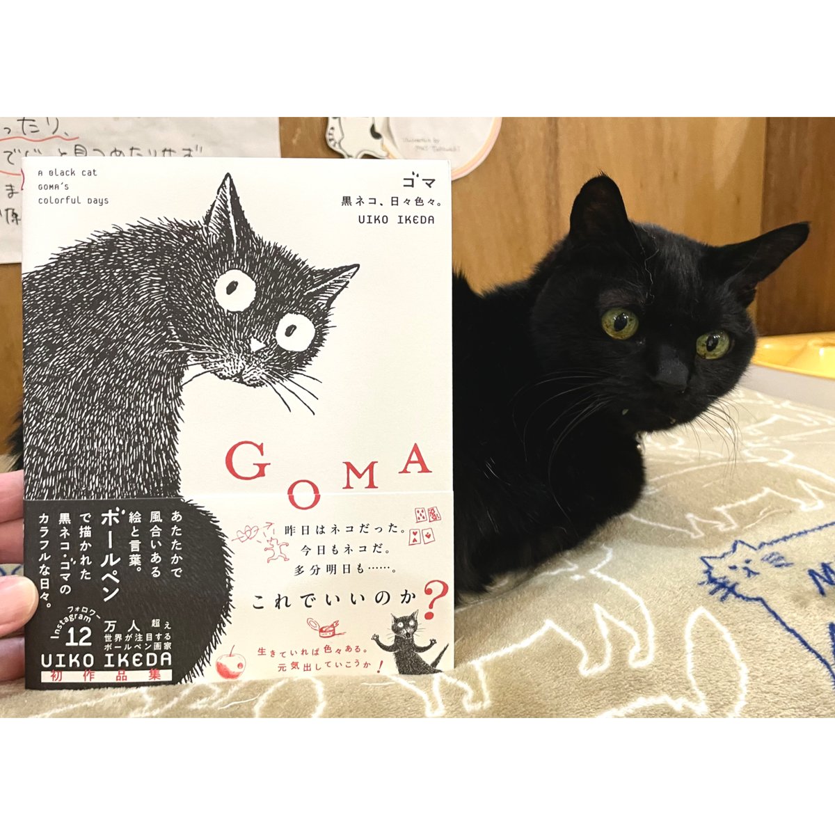 黒猫 直筆サイン プレシャスメモリーズ - メルカリ