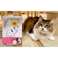 古沢 岩美、黒猫と女、希少な額装用画集より、新品額装付、状態良好