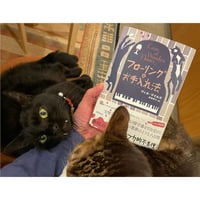 山口マオ作品集 | Cat's Meow Books Virtual Shop β