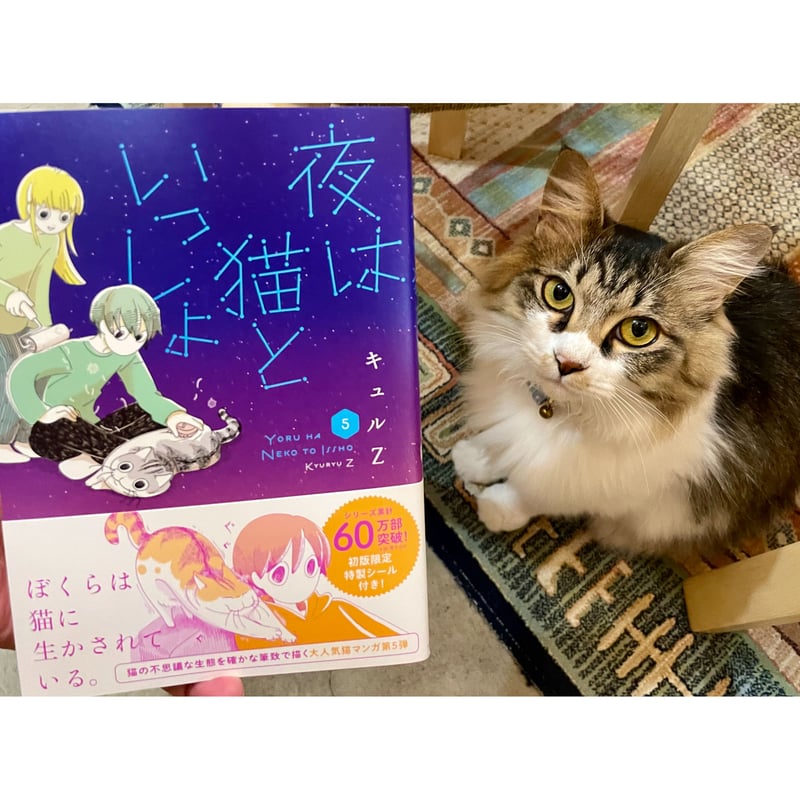 夜は猫といっしょ（1～5巻） | Cat's Meow Books Virtual Shop β