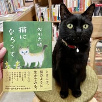 乙女の本棚 黒猫 | Cat's Meow Books Virtual Shop β