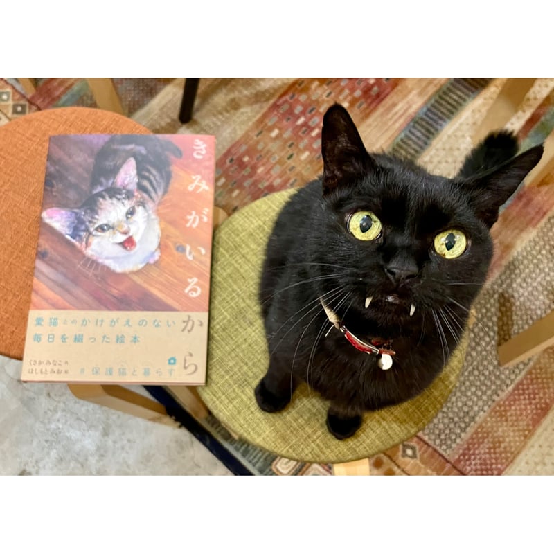 送料無料】きみがいるから 絵本＋缶バッジセット | Cat's Meow