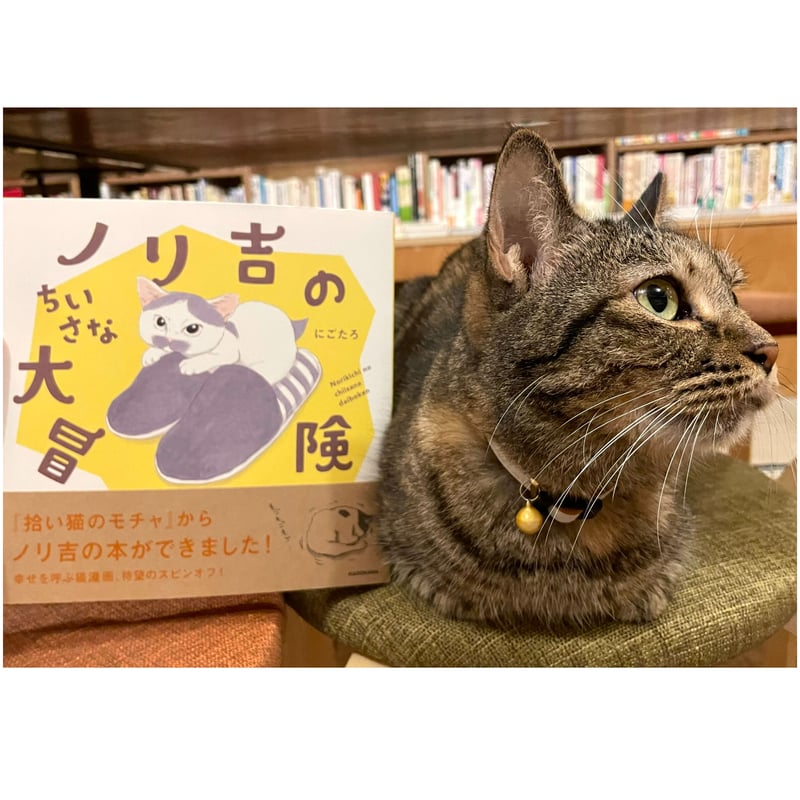ノリ吉のちいさな大冒険 | Cat's Meow Books Virtual Shop β