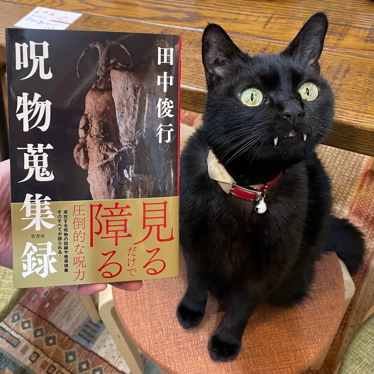呪物蒐集録 | Cat's Meow Books Virtual Shop β
