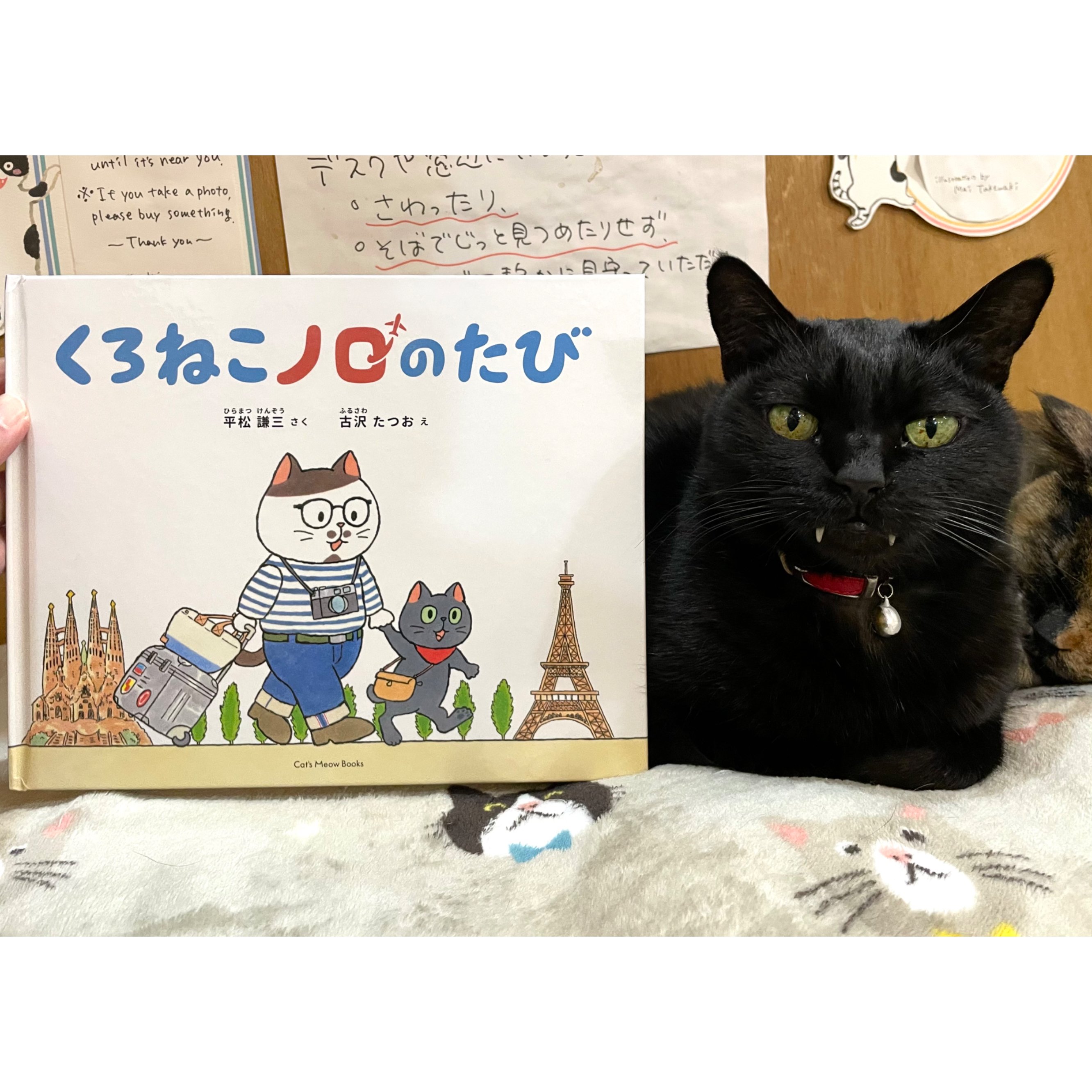 直筆サイン入り・送料無料】くろねこノロのたび | Cat's Meow Books