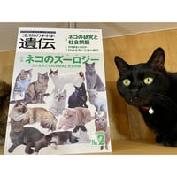 【専用】山口マオ 2001年 原画 額装済み 「サッカーするネコたち」 専用】山口マオ 2001年 原画 額装済み 「サッカーするネコたち」