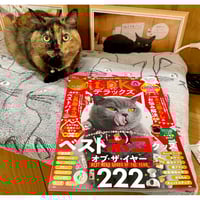 新装版 滲みで描くねこ | Cat's Meow Books Virtual Shop β