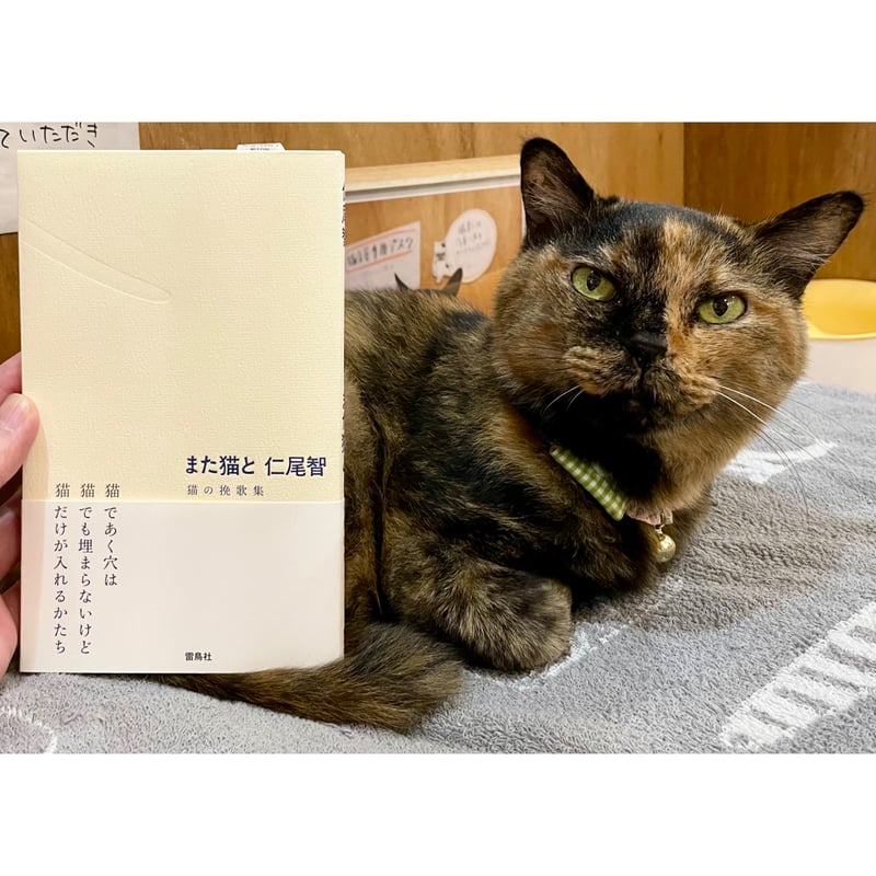 また猫と 猫の挽歌集 | Cat's Meow Books Virtual Shop β