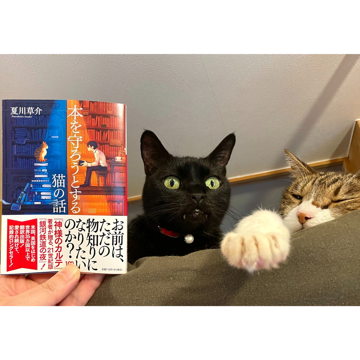 本 を 守 ろうと する 猫 の 話