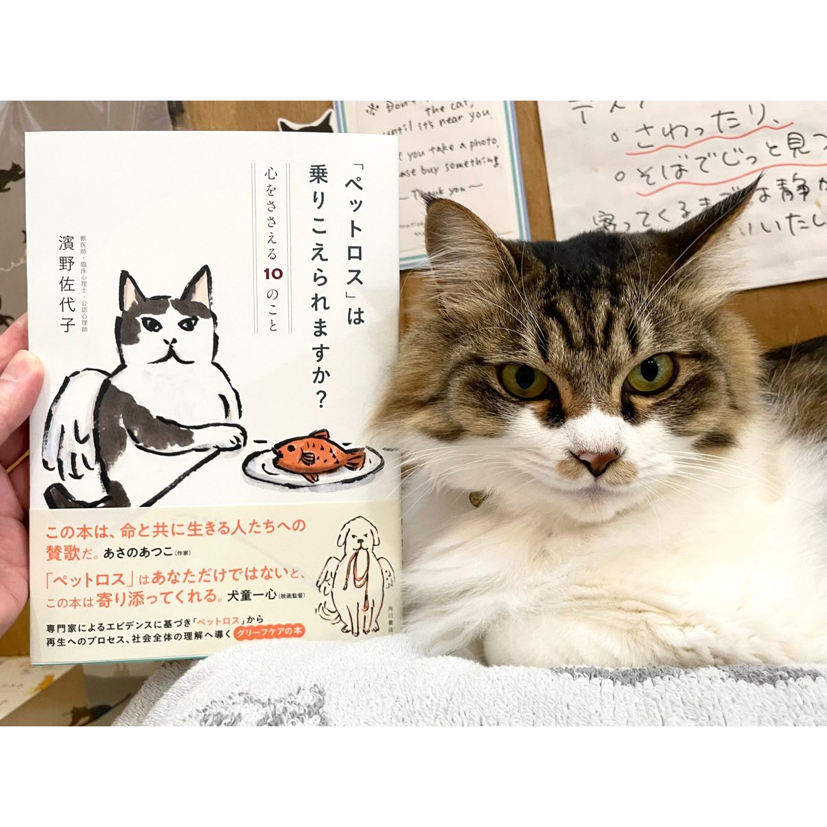 ペットロス」は乗りこえられますか？ 心をささえる10のこと | Cat's
