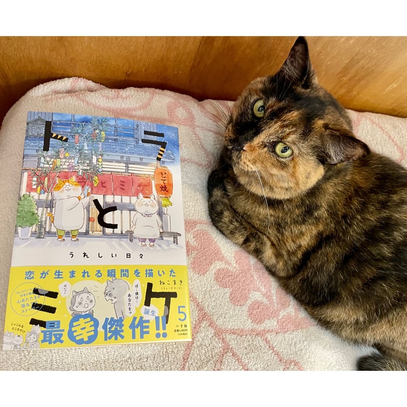 トラとミケ (5)（※説明にある「送料について」をお読みください