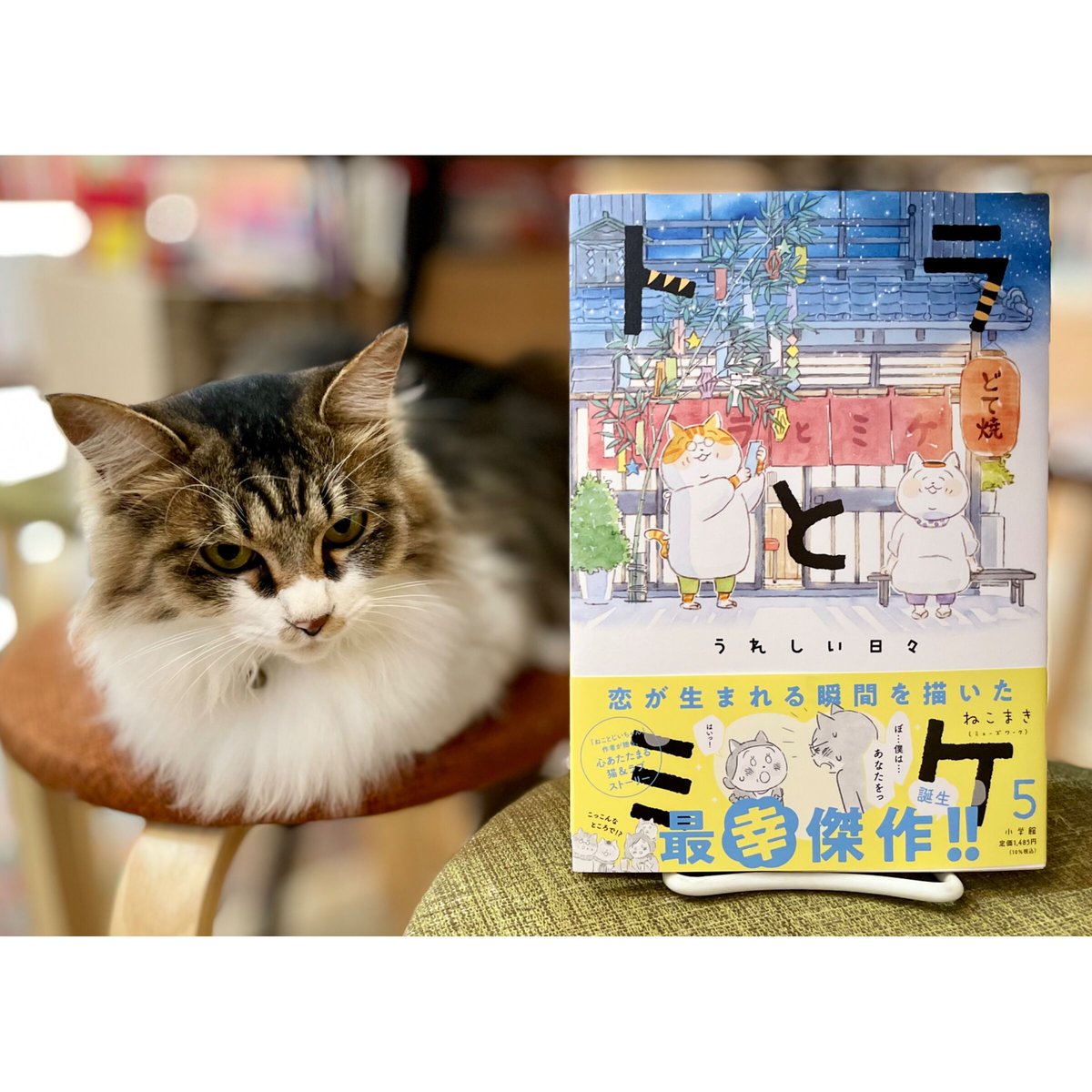 トラとミケ (5)（※説明にある「送料について」をお読みください。） Cat's Meow...