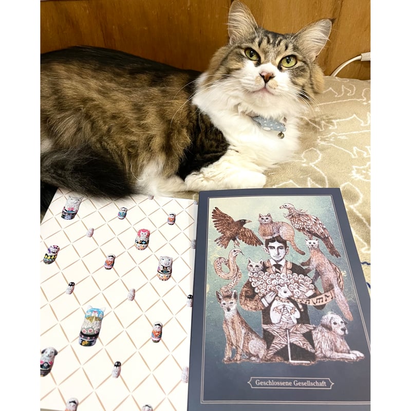 送料無料】雑種 絵本で広がる世界文学 | Cat's Meow Books Virtual