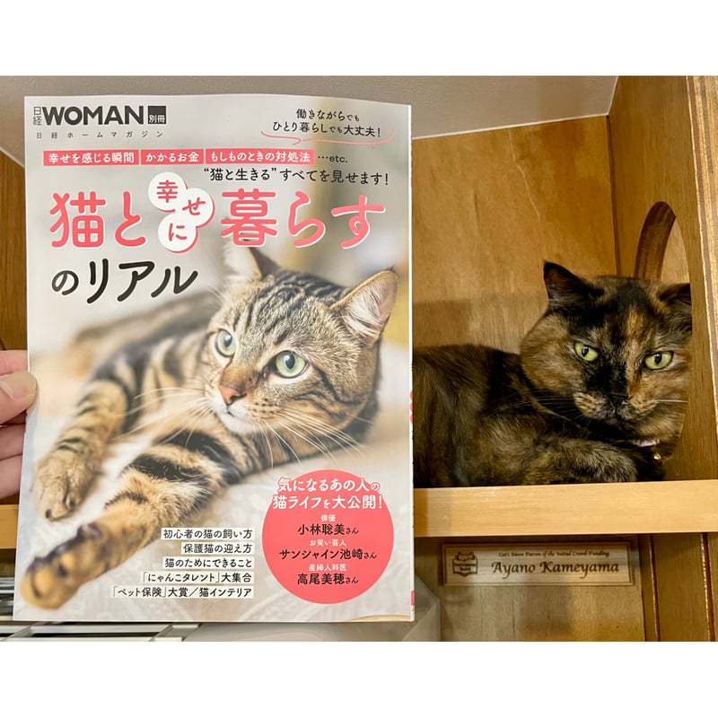 猫好きの料理の本 ねこが好き｜定期購読 - 雑誌のFujisan