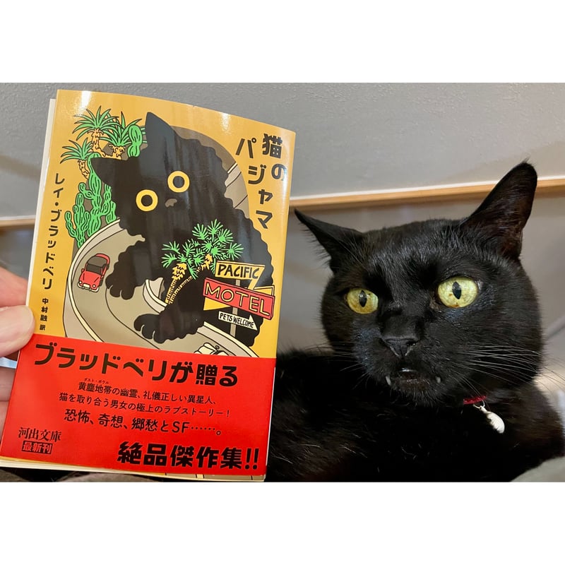 黒猫パジャマ 未使用タグ付き ツモリチサト 黒猫プリント パジャマ