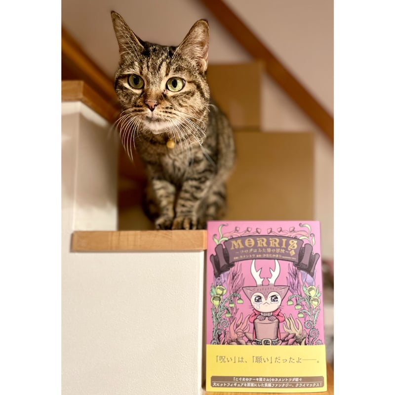 MORRIS ～つのがはえた猫の冒険～ | Cat's Meow Books Virtual