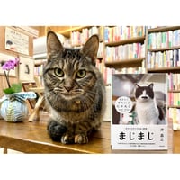 猫を愛でる近代 啓蒙時代のペットとメディア | Cat's Meow Books Virtua