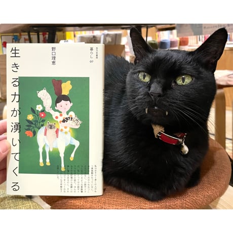 CATEGORY さつき | Cat's Meow Books Virtual Shop β