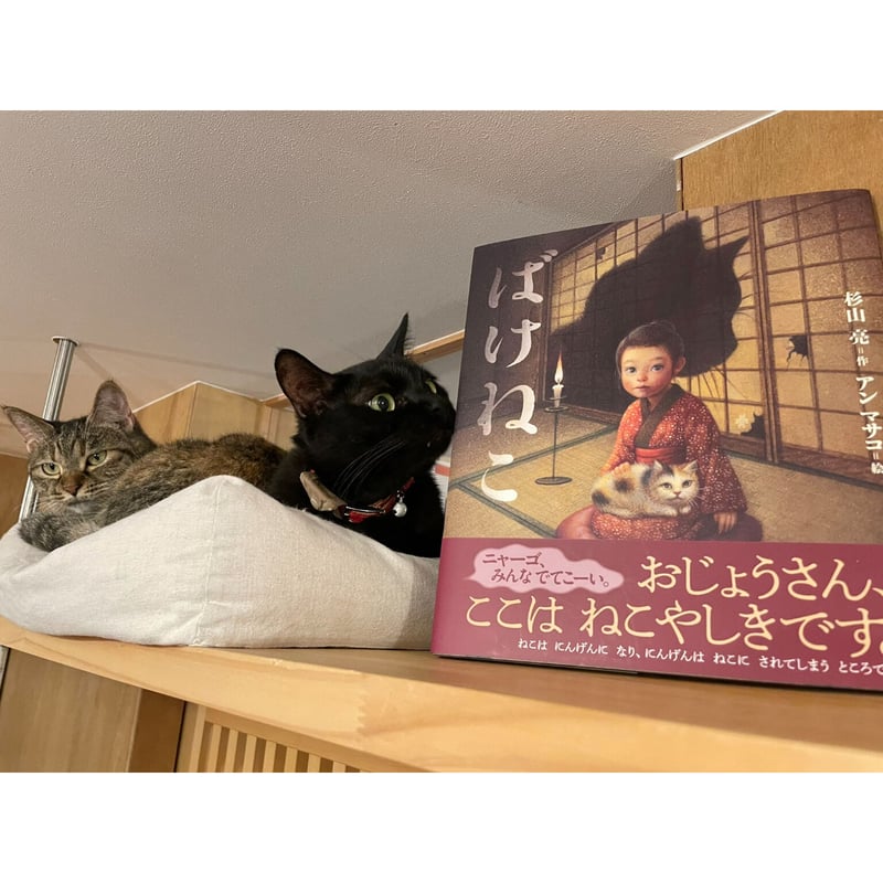 ばけねこ | Cat's Meow Books Virtual Shop β