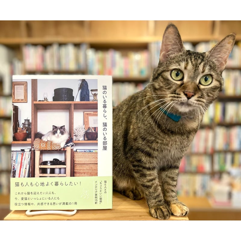 猫のいる暮らし、猫のいる部屋 | Cat's Meow Books Virtual Shop β