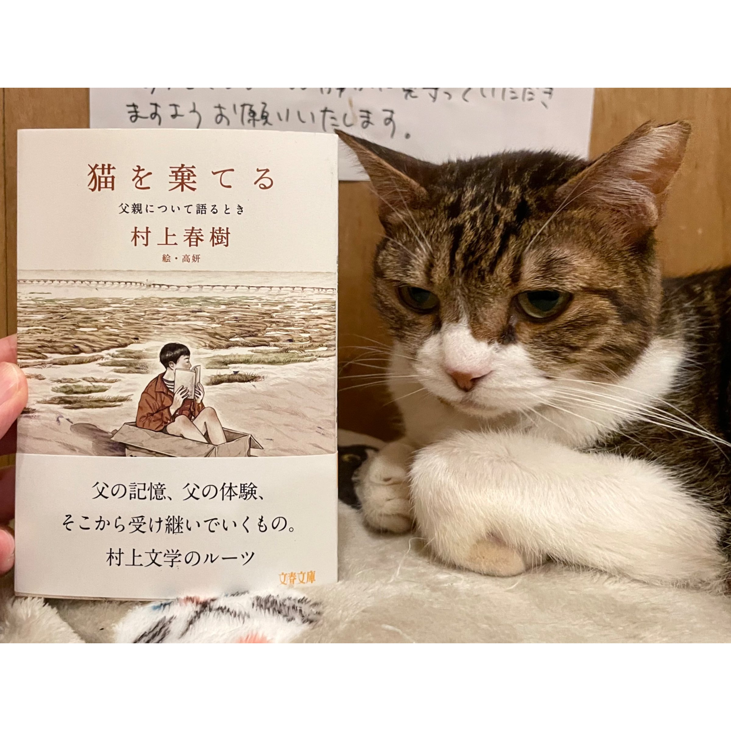 村上春樹 サイン本 猫を乗せてる original