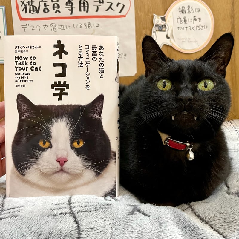 ネコ学 あなたの猫と最高のコミュニケーションをとる方法 | Cat's Meow