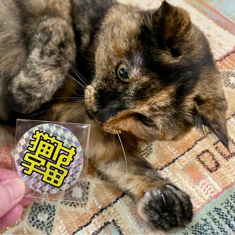 猫を吸いたい【裁断済み】歯のQ&A大全　（表紙カバー無し） CATEGORY 普通の本屋さんで売ってない | Cat's Meow Books Virtu