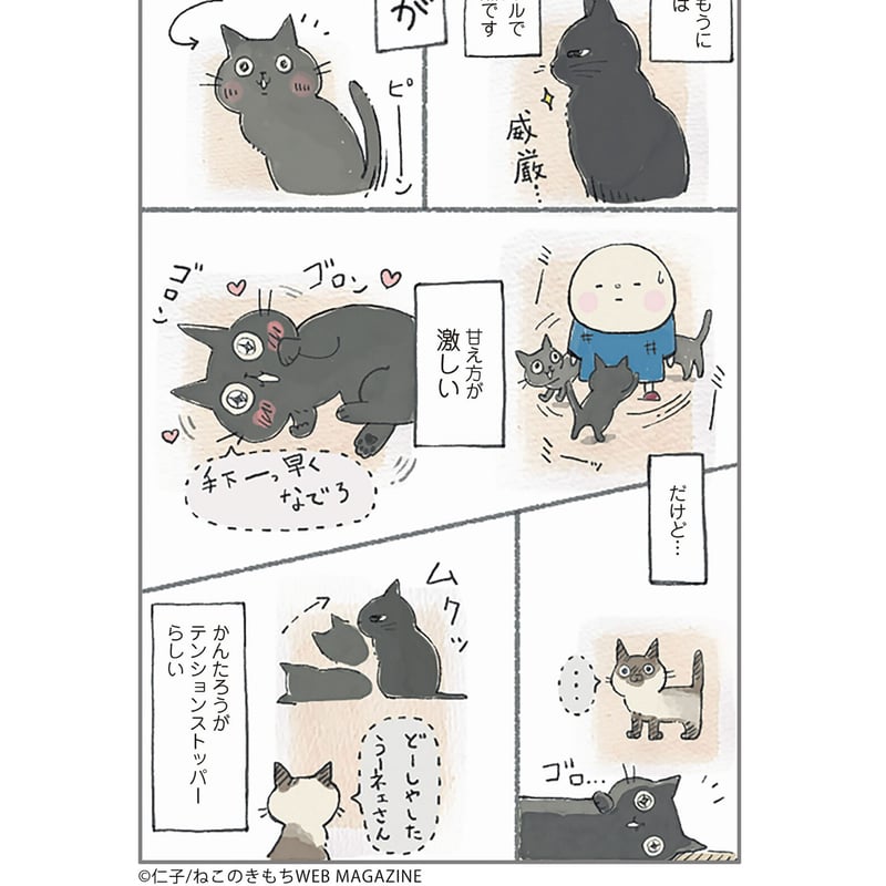 ねこたろう様 リクエスト 5点 まとめ商品 ねこ連れ草 うずらとかんたろう徒然ニャッ記 | Cat's Meow Books