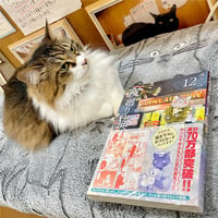 猫が食べると危ない食品・植物・家の中の物図鑑 | Cat's Meow Books