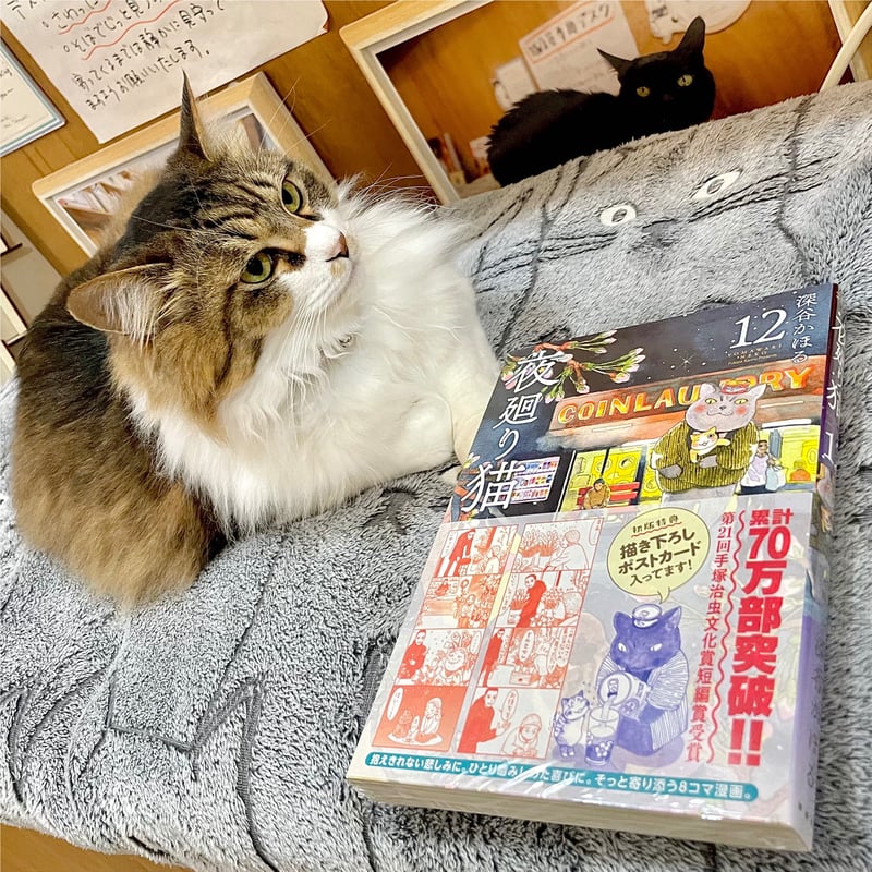 夜廻り猫（1～12巻） | Cat's Meow Books Virtual Shop β