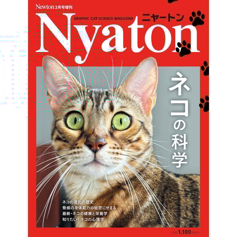 Newton 雑誌 2019年版全12号セット Newton（ニュートン） 2023年12月号