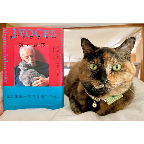 日本の詩歌　31冊セット ※送料無料　即購入可 CATEGORY 詩歌 | Cat's Meow Books Virtual Shop β