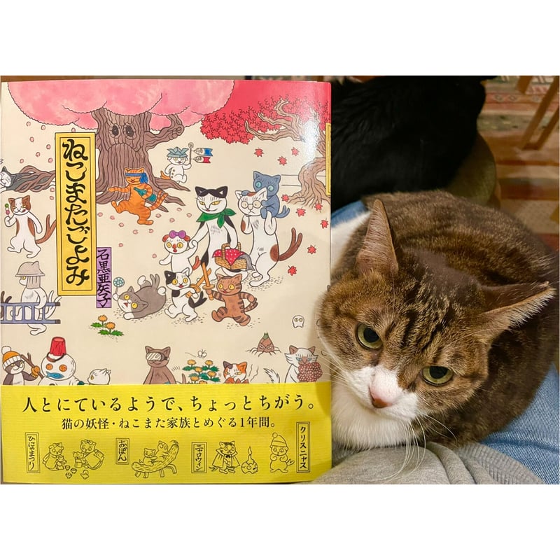 うまごやのねこ rookie year book 4冊 うまごやのねこ rookie year