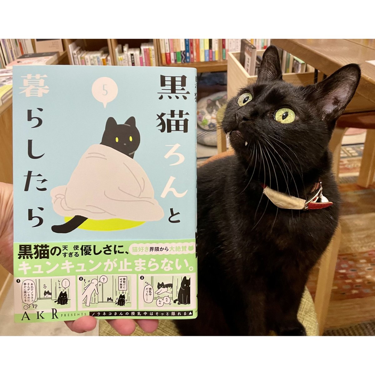 黒猫ろんと暮らしたら（1～5巻）　Shop　β　Books　Meow　Cat's　Virtual