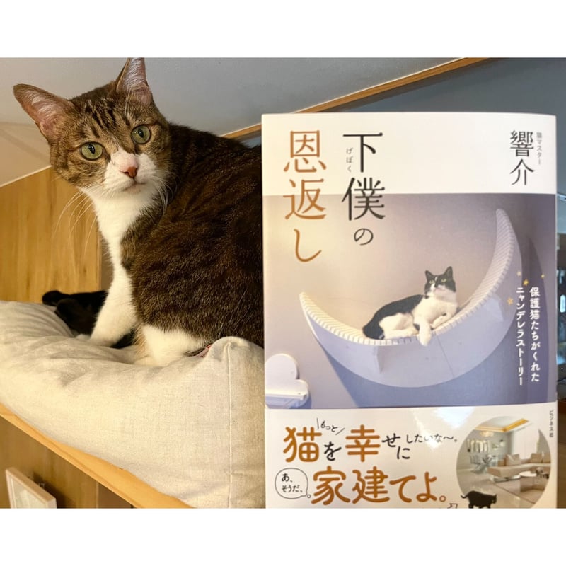 下僕の恩返し 保護猫たちがくれたニャンデレラストーリー | Cat 