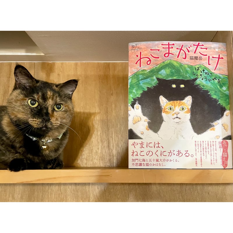 ねこまがたけ ばけねこしゅぎょうのやま | Cat's Meow Books Virtual