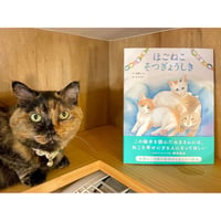 100ぴきかぞく | Cat's Meow Books Virtual Shop β