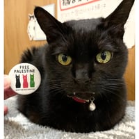 小泉さよ パレスチナ支援 FREE PALESTINE 缶バッジ (STOP THE OCCUPATION)