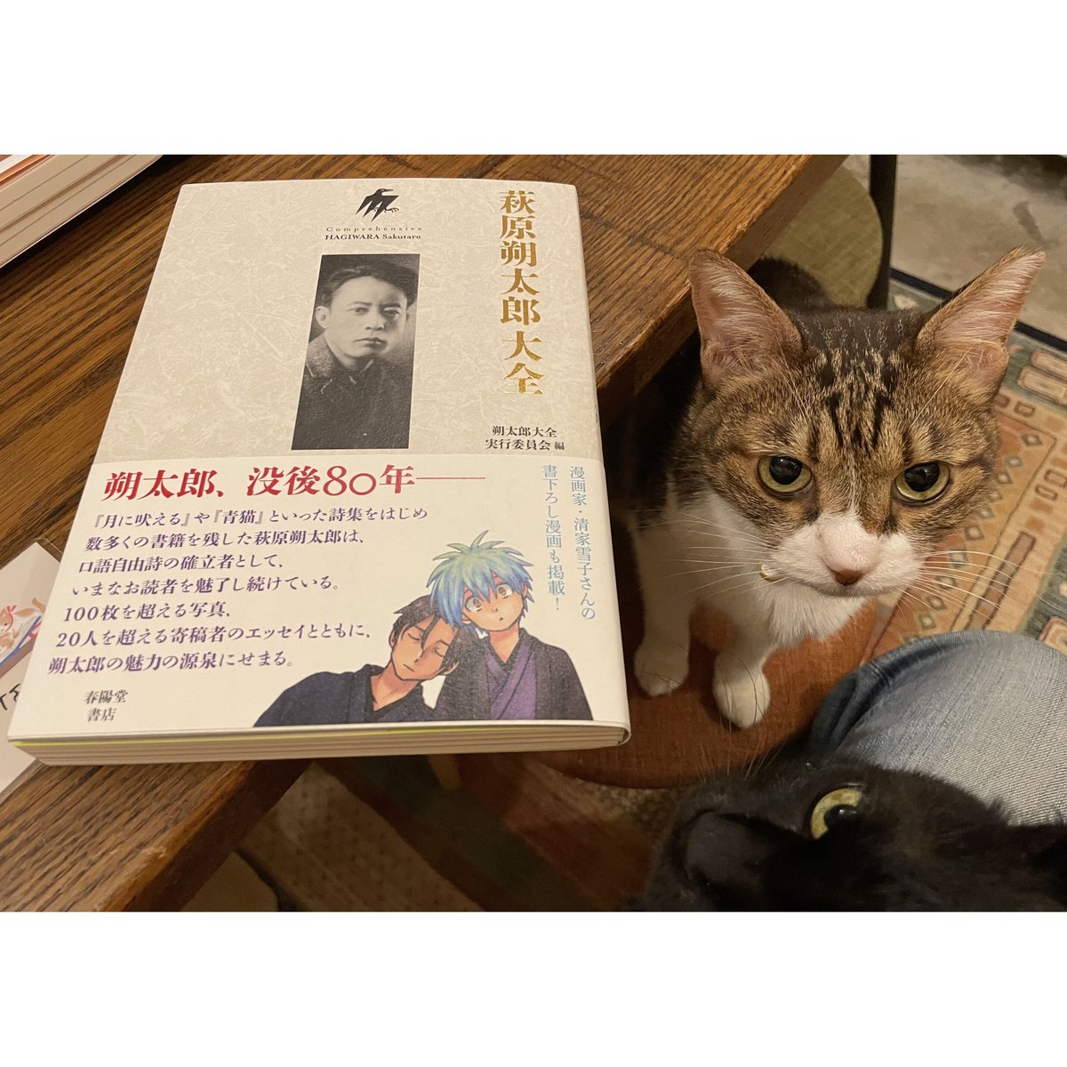 萩原朔太郎 月に吠える 青猫 絶望の逃走 セット 世田谷文学館｜月に吠えよ、萩原朔太郎展 Sakutaro Hagiwara