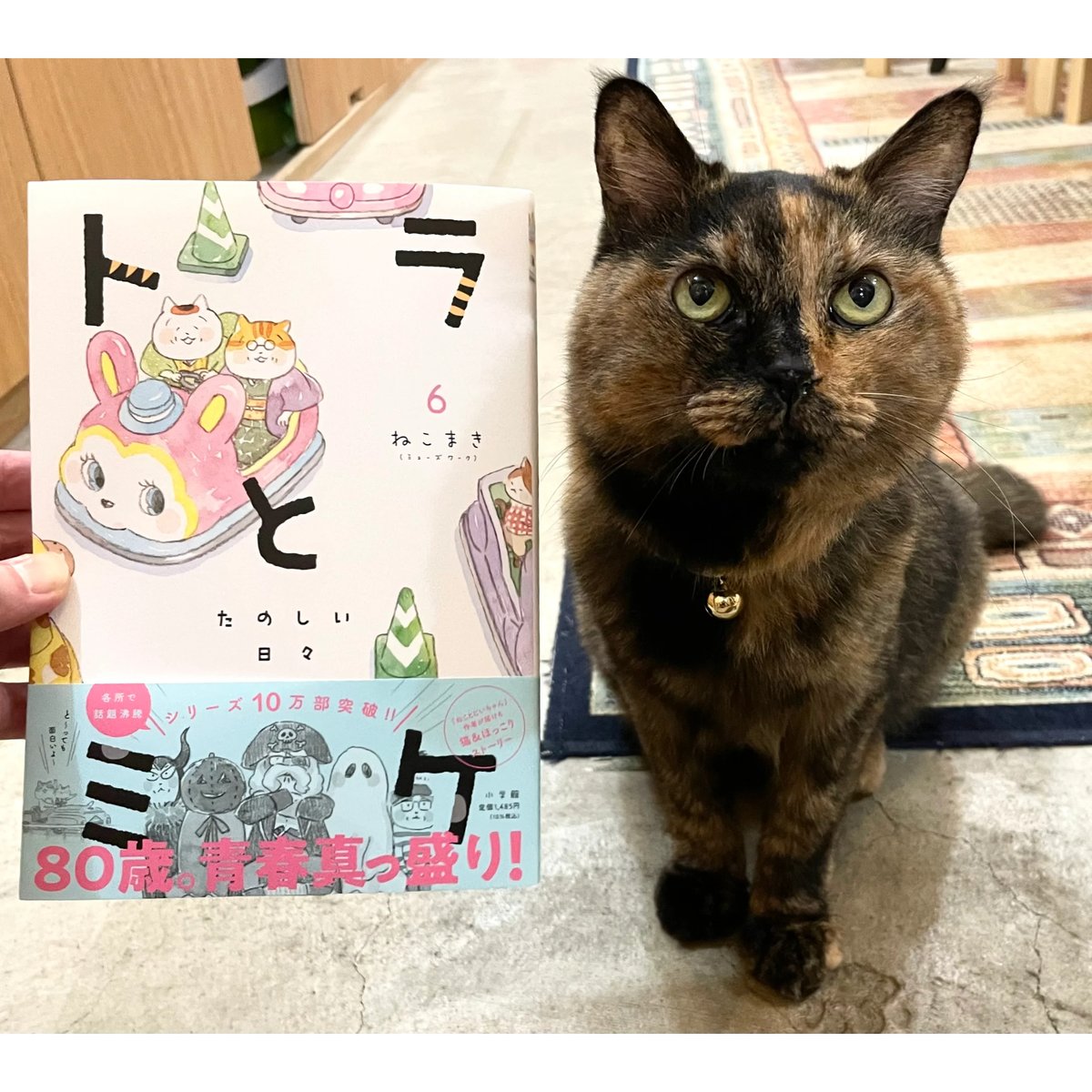 トラとミケ (6)（※説明にある「送料について」をお読みください