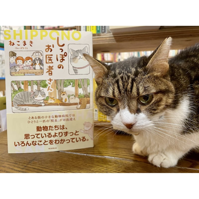 しっぽのお医者さん | Cat's Meow Books Virtual Shop β