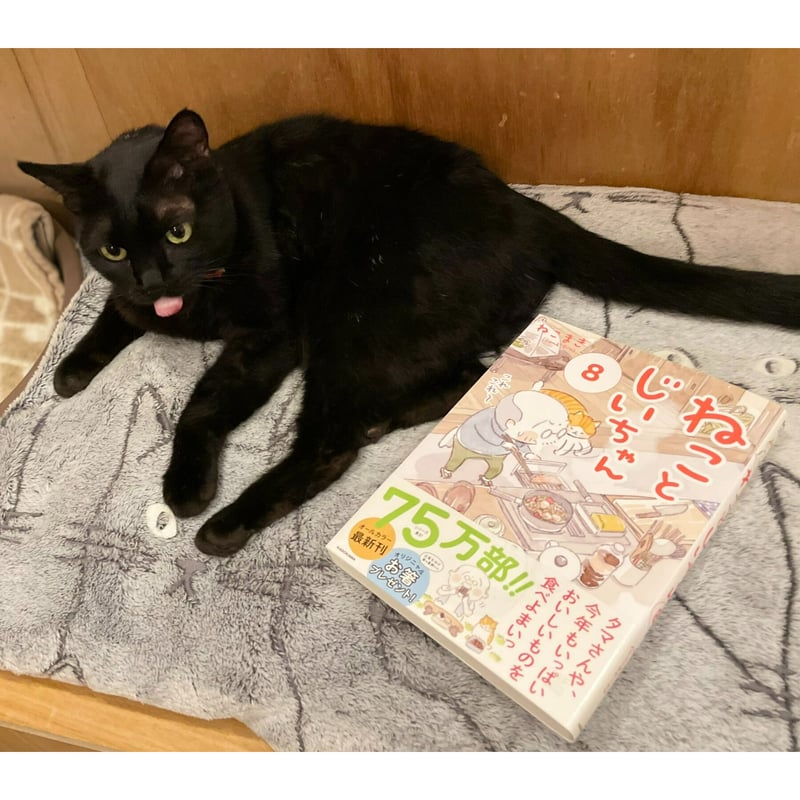 ねことじいちゃん（1～12巻） | Cat's Meow Books Virtual Shop β