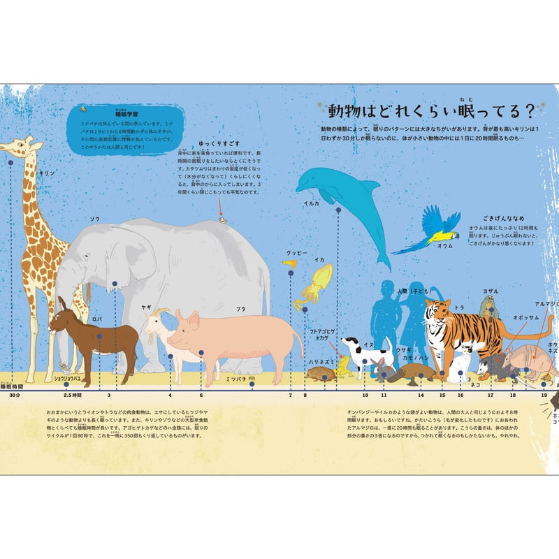 寝るのが楽しくなる 睡眠のひみつ | Cat's Meow Books Virtual Shop β