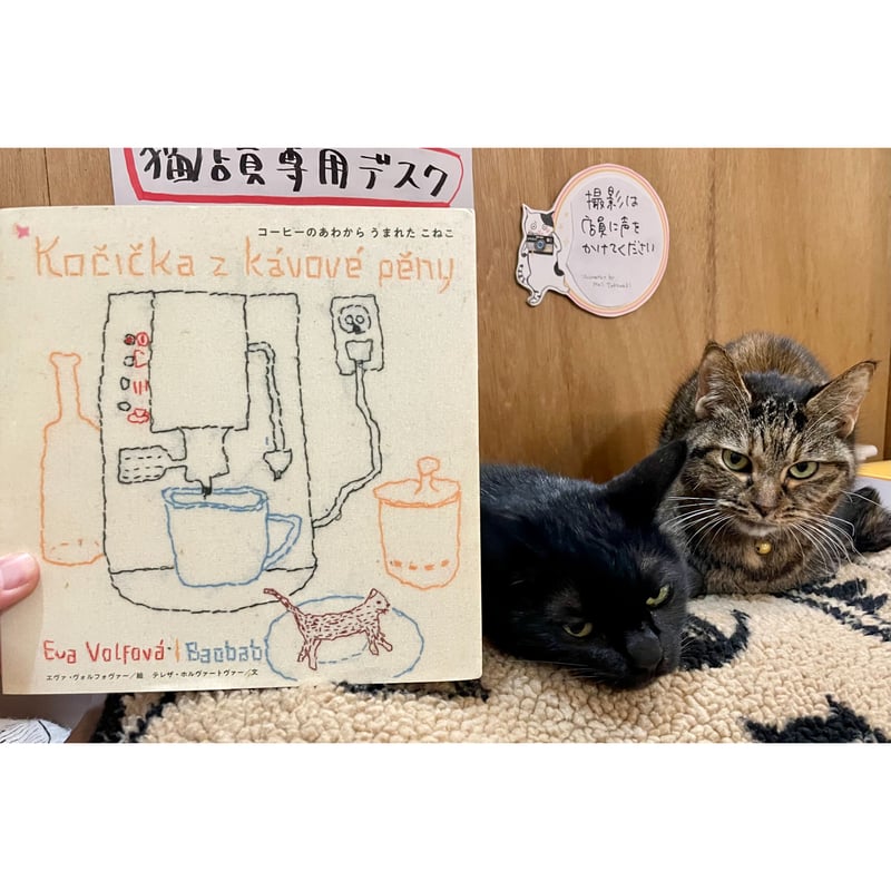 【コーヒーアート】ねこ コーヒーのあわからうまれたこねこ | Cat's Meow Books Virtual Shop β